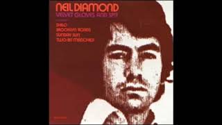 Watch Neil Diamond The Pot Smokers Song video