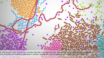 microbiome simulator