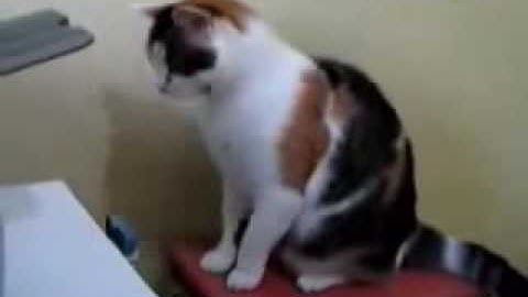 4shared.com - file sharing - download movie file addddd.avi.flv