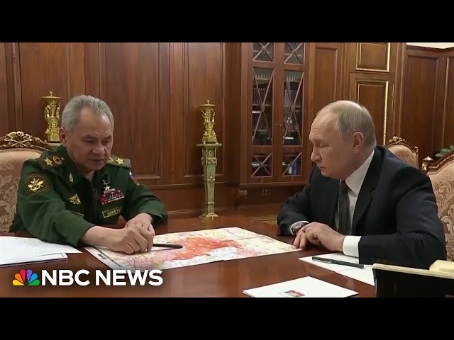Putin removes longtime Russian defense minister Sergei Shoigu