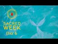 Sacred Week - Day 6 (August 2020)