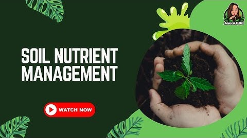 Soil Nutrient Management