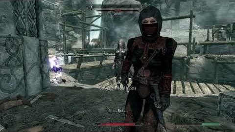 Day 1011 - Killing Every NPC Until Elder Scrolls 6 is Released