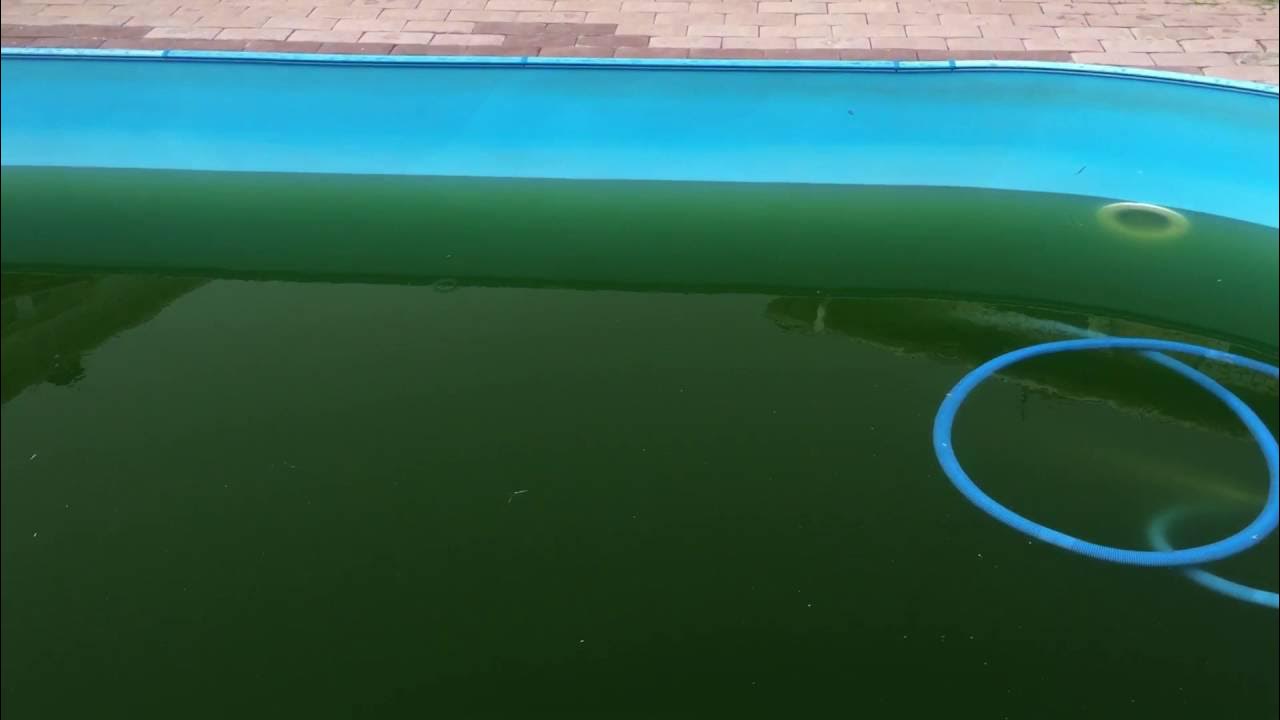 Наполнение бассейна водой. Вода из шланга. Как вылить воду с бассейна. Как вылить воду с бассейна. Насос для каркасного бассейна.