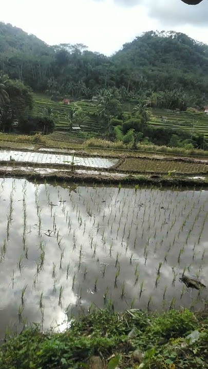anugrah alam yang indah