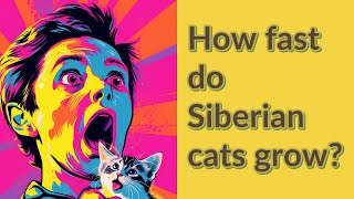 How fast do Siberian cats grow?