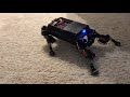 Quadruped robot neural network