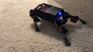 Quadruped robot neural network