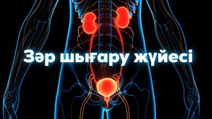 Шашты бұлшықет порно