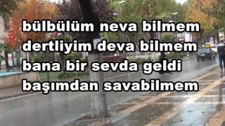 Bülbüller Düğün Eyler