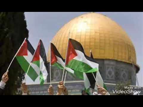 الغضب الساطع