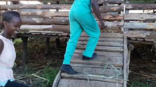 Sifa muhimu za banda la kufugia mbuzi au kondoo