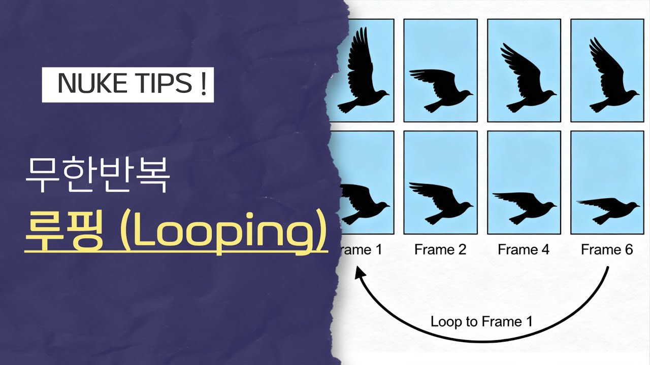 NUKE  Tips ! (14)  - 무한반복 루핑(Looping)  