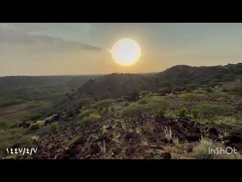 ٢٩ سبتمبر ٢٠٢٥