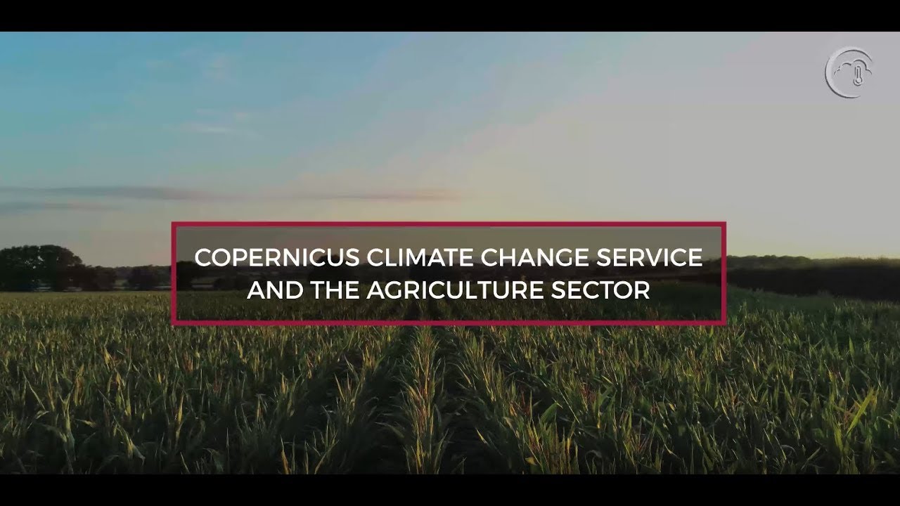 Copernicus Climate Change Service (C3S) and the agriculture sector ...