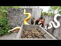 Two brave soldiers risked their venturing into the lair of a giant python to rescue a beautiful girl
