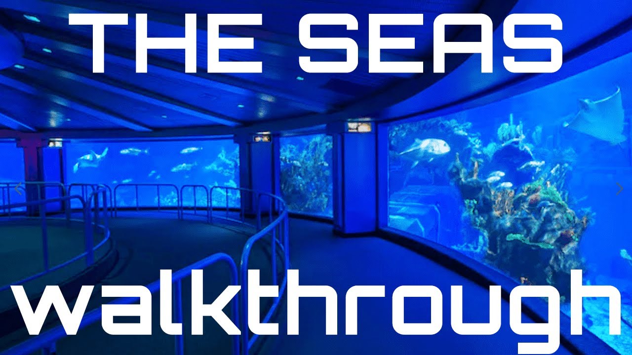 Disney World Walkthrough | The SEAS at EPCOT | Walt Disney World Orlando Florida