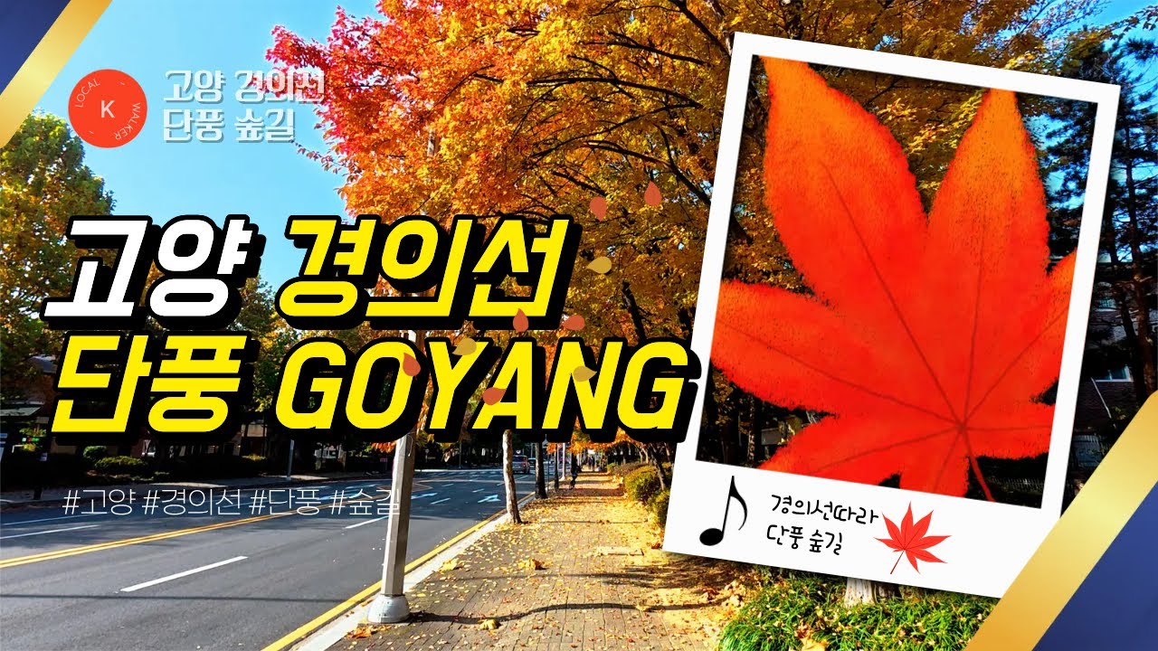 고양. 경의선 숲길 단풍을 맞이한 가을 아침