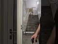 Kühe mitten im Krankenhaus 🐮