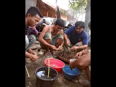 Cara bikin sate kiong