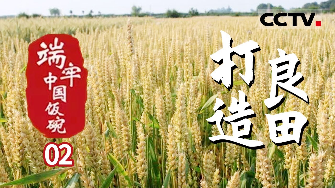 《端牢中国饭碗》第2集 一场让耕地更健康 更绿色的行动正在全面展开 看大国粮仓东北三省的硬核担当——打造良田【CCTV纪录】