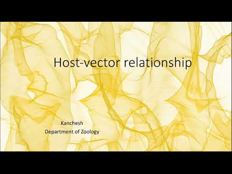 Video: What Are Vector Relationships