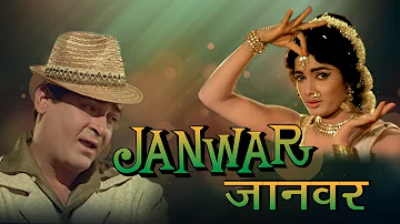Shammi Kapoor & Rajshree Superhit Musical Romantic Movie | JAANWAR |