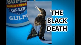 Fly Tying The Black Death 'Cormorant'