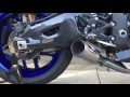 2015 Yamaha R1 walk around and Austin Racing GP1r w/GP3 clip