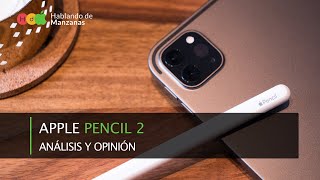 Análisis Apple Pencil 2 tras más de seis meses de uso Análisis Apple Pencil 2 tras más de seis meses de uso