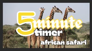 5 minute timer | animals | countdown | instrumental music | classroom timer