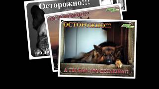 Таблички "Осторожно, злая собака!" Таблички "Осторожно, злая собака!"