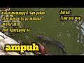 siulan pemanggil  ikan ...durasi 1jam non stop...ampuh banget..