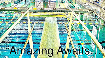 Diving Dryland Drills - How to improve your Forward Takeoff - Slant Board Modeling - MRDC RIPFEST