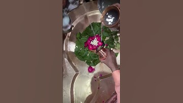 Thumbnail of Om