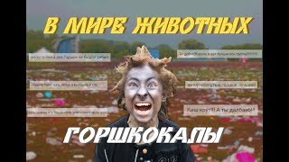 В мире животных. Горшкокалы (гавнориллы) В мире животных. Горшкокалы (гавнориллы)