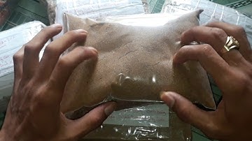 Đam Mê Câu Cá || ship mồi Ngủ Cốc cho các bạn và các đơn hàng đã gửi