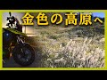 バイクでススキの名所、曽爾高原へ行こう【V-strom250】