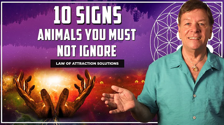 10 Signs - Animals You Must Not Ignore - Totem Spirit Animal Messages - DayDayNews