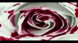 Bi̇r Yarali Döşten Gayri Nem Kaldi Pi̇yani̇st Ercan Artan 2019,