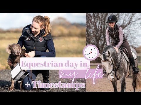 Super Detailed Equestrian