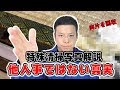 【写真解説】畳にご遺体のアレが…特殊清掃と後処理について徹底解説