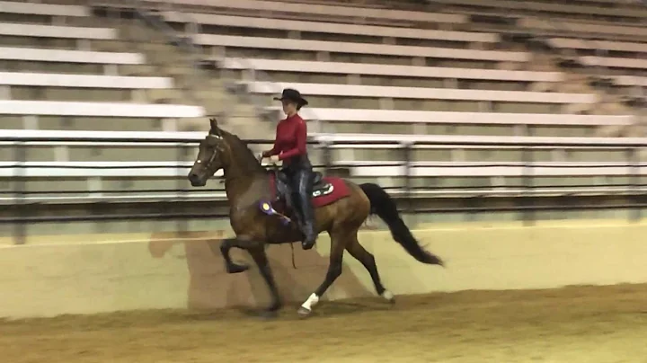 Undertaker's Diamond Diva - Lite Shod Country Plea...