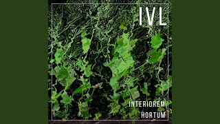Lux - IVL