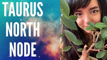 Scorpio South Node 🧛‍♀️🦂 |  Taurus North Node 🧙‍♀️🐂 | ASTROLOGY