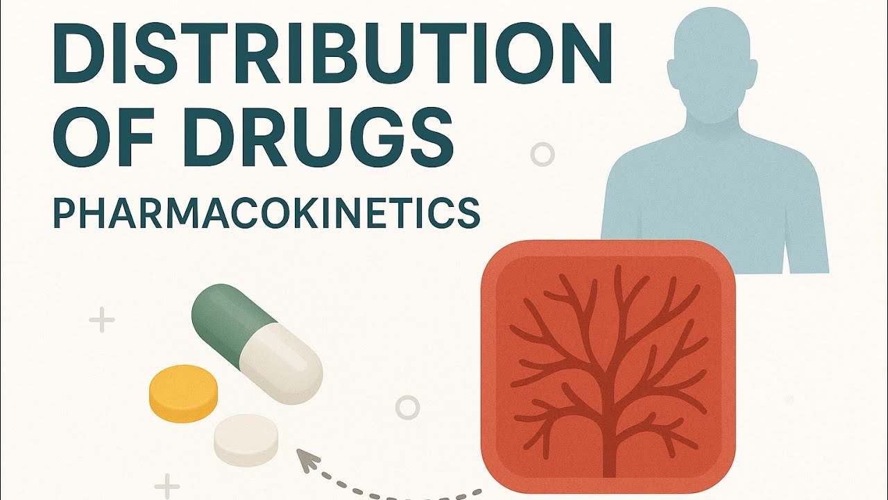 Distribution of Drugs | Pharmacokinetics | Pharmacology | Lipincott ...