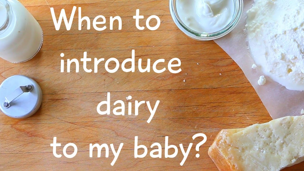 Dairy for baby - introducing yogurt, milk and cheese in your baby’s diet | BuonaPappa