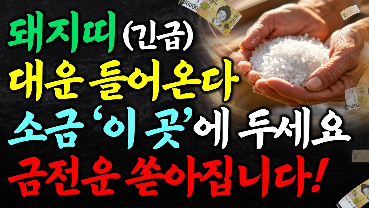 돼지띠는 소금을 '이곳'에 두면 2026년 돈복 쏟아집니다. 나간 돈도 들어오는 소금 풍수 돼지띠 금전운 건강운 재물운
