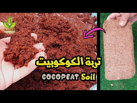 تربة الكوكوبيت وكيفية إستخدامها وفوائدها         