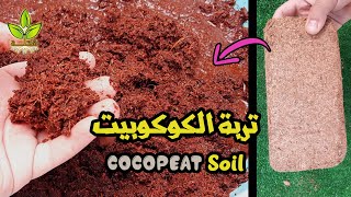 تربة الكوكوبيت وكيفية إستخدامها وفوائدها  |  Cocopeat soil, how to use it and its benefits